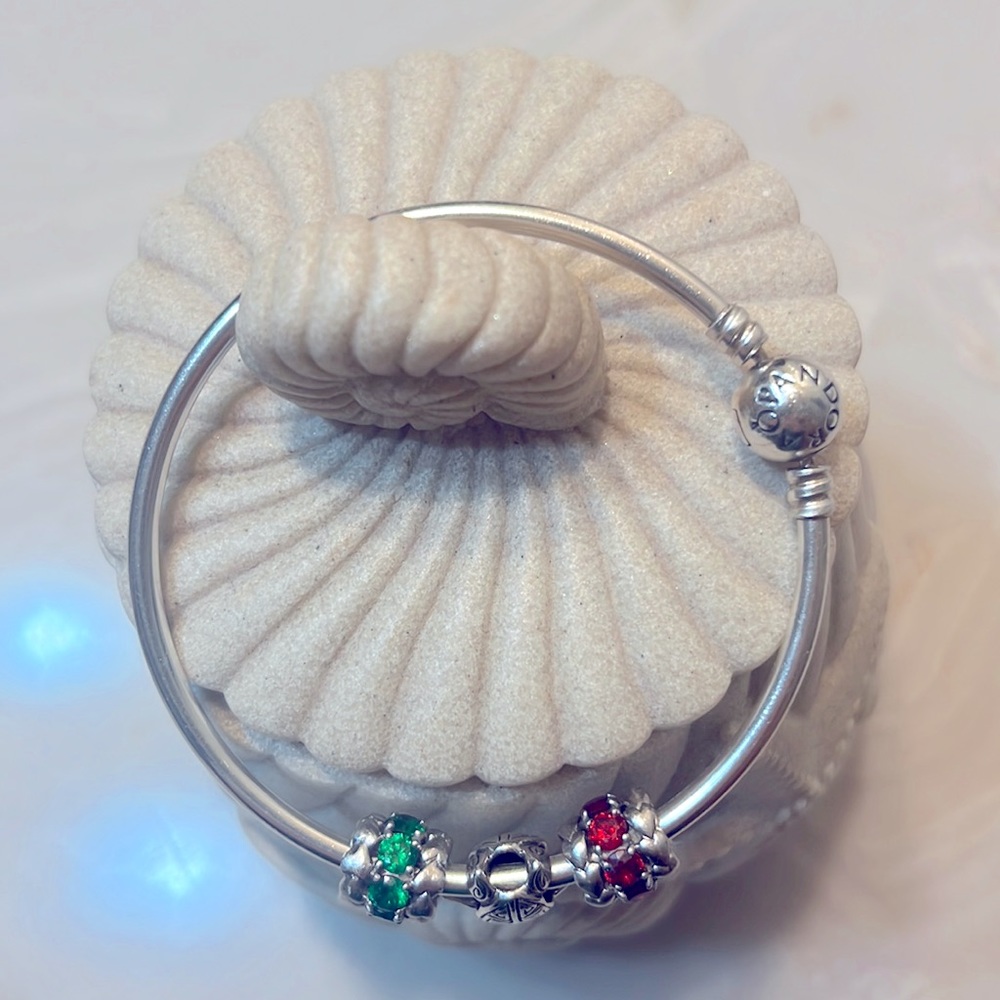 🌹AUTHENTIC PANDORA BANGLE⭐️STARTER SET⭐️(three Pandora Charms included)NWOT🌹
